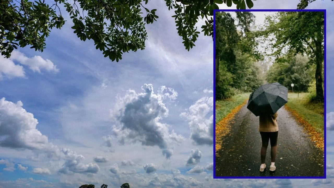 Dense Fog Cripples Dausa Traffic After Rain; IMD Issues Yellow Alert Across 24 Rajasthan Districts