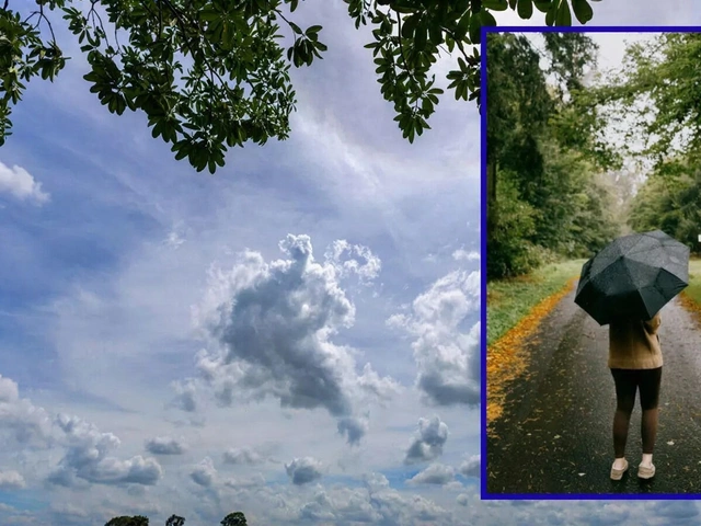 Dense Fog Cripples Dausa Traffic After Rain; IMD Issues Yellow Alert Across 24 Rajasthan Districts