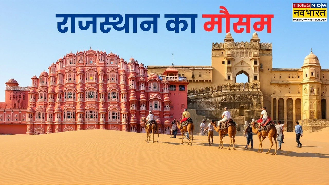 What You Need to Know Right Now